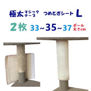 オンリーキャット 2枚セット (L) 猫用 爪と...の商品画像