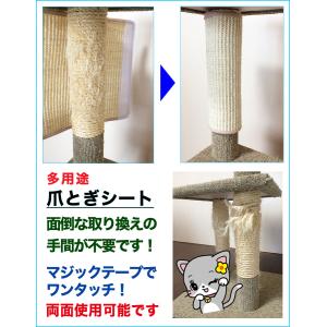 オンリーキャット 2枚セット (M) 猫用 爪...の詳細画像1
