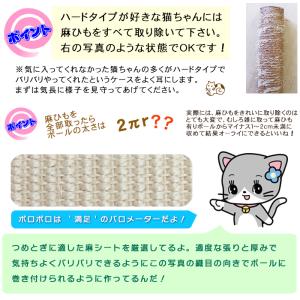 オンリーキャット 2枚セット (M) 猫用 爪...の詳細画像4