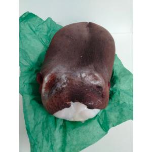 ぷりぷり浜ゆでタコ頭　