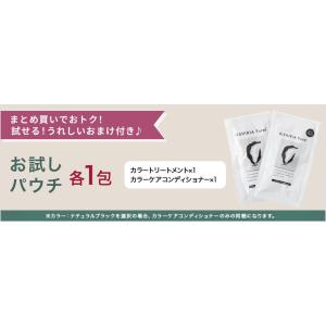 カラーシャンプー専用ボトル+詰め替え用パウチ ...の詳細画像2