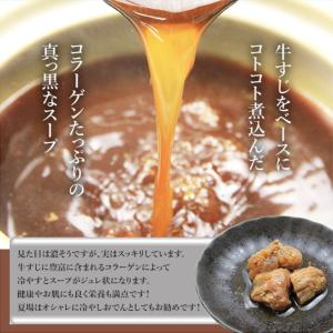 お中元 夏ギフト 【静岡おでん竹皮包み】マツコ...の詳細画像5
