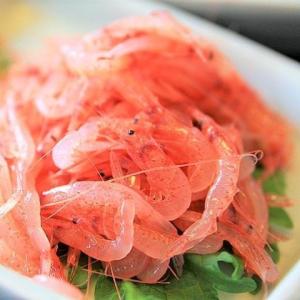 【生桜えび 80ｇ】駿河湾の恵み・由比特産！採れたて