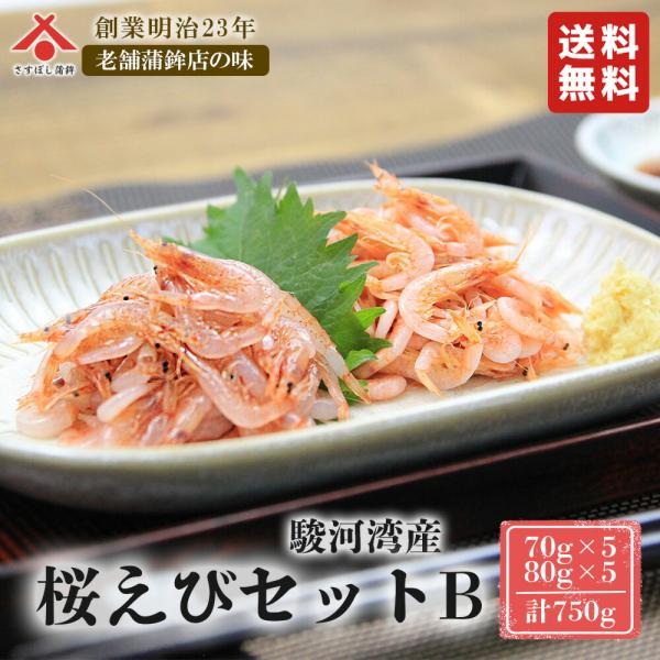 【桜えびセット B】 由比特産 新鮮 静岡 駿河湾 サクラエビ 桜海老 おつまみ ご当地 送料無料