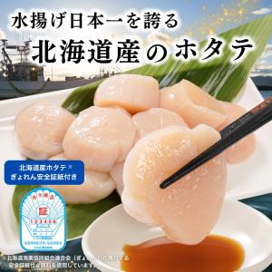 北海道産 天然ホタテ 貝柱フレーク 400g ...の詳細画像5
