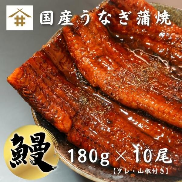 国産 鹿児島県産 うなぎ 蒲焼き 送料無料(本州のみ)「うなぎ蒲焼 180ｇ×10尾」無投薬 熟成 ...