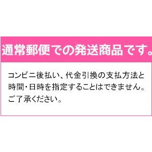 【メール便】Anylock☆エニーロック 2号...の詳細画像4