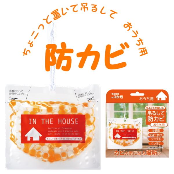 ちょこっと置いて吊るして BB菌 防カビ おうち用 オレンジ ビッグバイオ カビ予防 防カビ おしゃ...