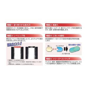 シーバイエス 光沢王プラスC 18L (送料無...の詳細画像2