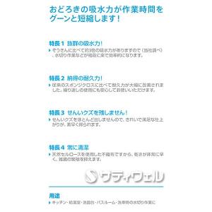 シーバイエス 吸水ワイパー (翌日配送可)の詳細画像2