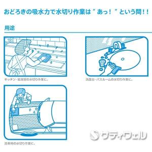 シーバイエス 吸水ワイパー (翌日配送可)の詳細画像3