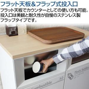 テラモト トラッシュボックスFT アーバングレ...の詳細画像3