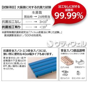 テラモト 抗菌安全スノコ お客様組立品 600...の詳細画像4