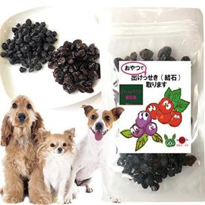 猫 尿路結石 猫用おやつ の商品一覧 キャットフード 猫用品 ペット用品 生き物 通販 Yahoo ショッピング