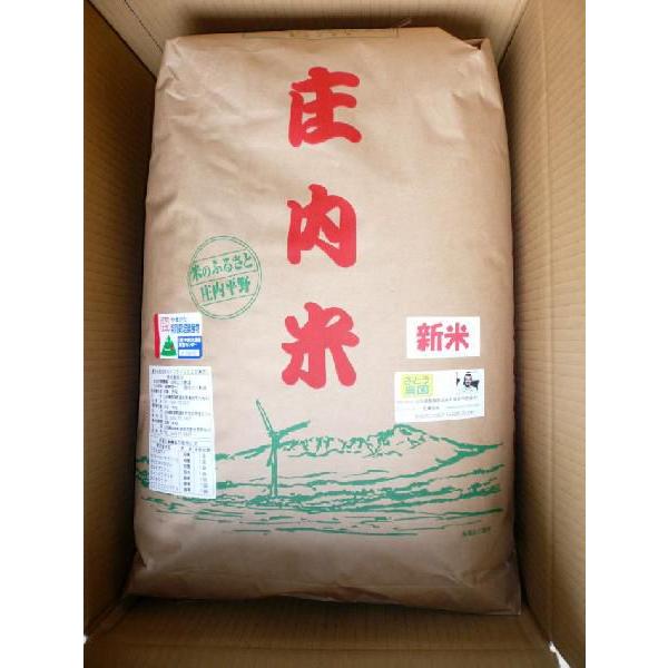 山形県庄内産　はえぬき　精米27kg　特別栽培米　令和５年産