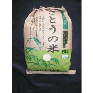 山形県庄内産 はえぬき 精米5kg 特別栽培米 平成29年産...