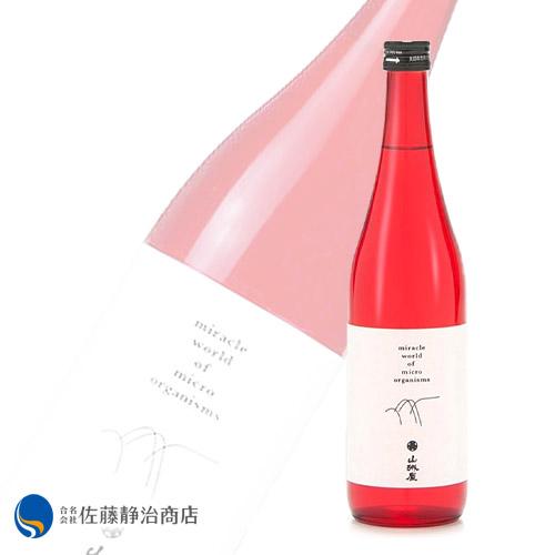 [お酒 ギフト プレゼント] 山城屋 マチュアード 純米大吟醸 円熟 720ml【秋季限定酒】