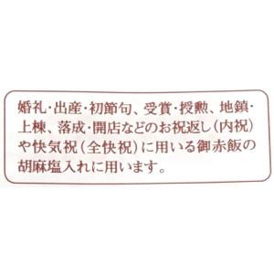 鯛塩袋 角型 胡麻塩入れ用 10枚袋入の詳細画像3