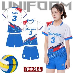 バレーボール ユニフォーム 半袖 パンツ 番号 名入れ バレーボール