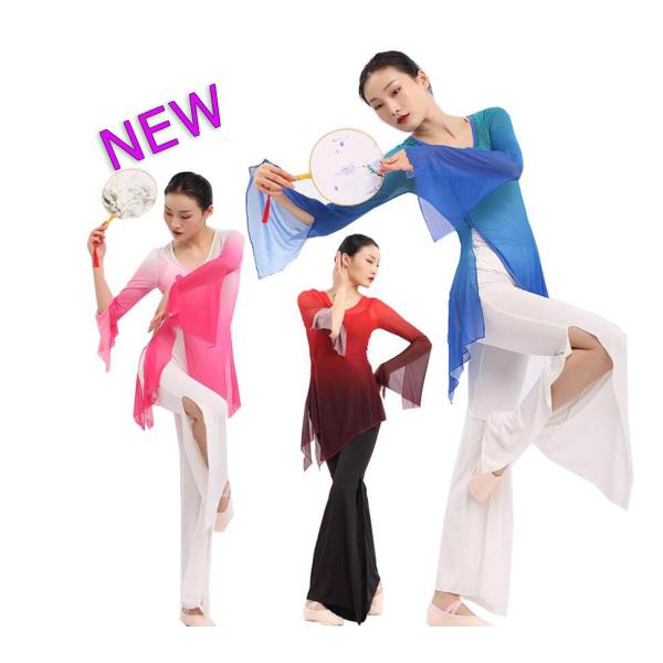 「即納」古典舞踊ダンス衣装　チャイナ服　中華民族ダンスウェア　ヨガバレエ衣装　レディース　シースルー...