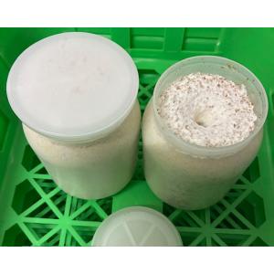 固詰カワラタケ・オガ：エノキクヌギ混合800cc菌糸ビン20本入り