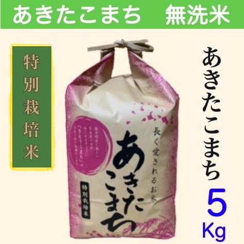 無洗米５kg あきたこまち 秋田県大潟村産 特別栽培米 無洗米５キロ 農家直送 発送日精米 