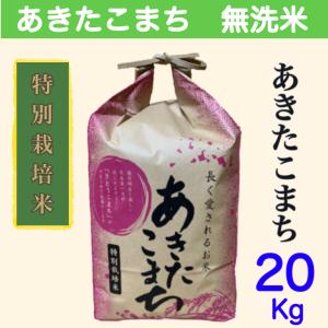 無洗米２０kg 特別栽培米 あきたこまち 秋田県大潟村産 無洗米２０キロ(10kg×２) 農家直送