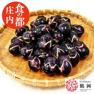 生の丸小茄子 民田茄子 500g 山形県鶴岡産 在来作物 なす