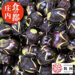 訳あり 生の丸小茄子 民田茄子 1kg 山形県鶴岡産 在来作物