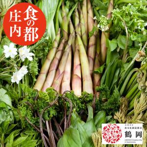 行者にんにく 春芽 北海道産 2kg 天ぷら醤油漬け餃子に最高 生山菜