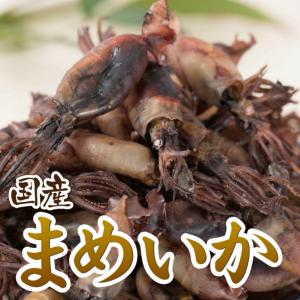 おつまみ 珍味 国産 まめいか 150g つまみ いか イカ 酒の肴