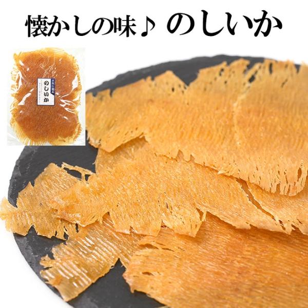 1000円ポッキリ おつまみ いか のしイカ 120g 珍味 おやつ