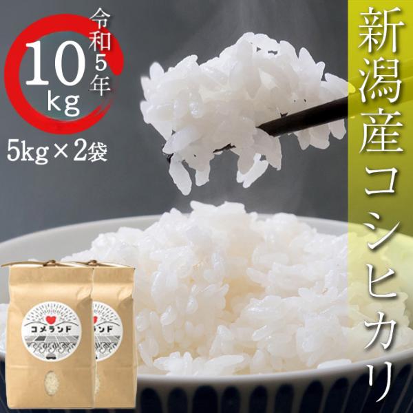 令和5年 10kg コシヒカリ 新潟産 米 お米 こしひかり