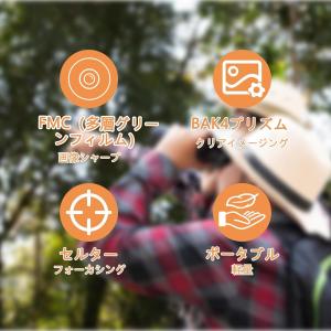 双眼鏡 80x80高倍率 双眼望遠鏡 野鳥観察...の詳細画像1