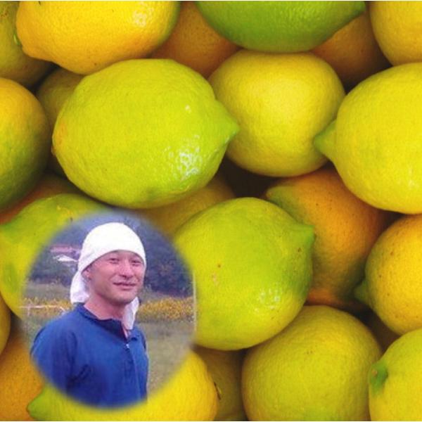 広島県産 能勢さんの 無農薬レモン 3kg AB混合品 防腐剤 防カビ剤不使用 瀬戸田レモン 国産レ...