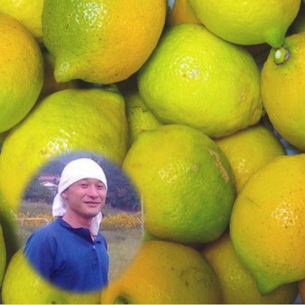 広島県産 能勢さんの 無農薬レモン 10kg 家庭用 訳あり 防腐剤 防カビ剤不使用 瀬戸田レモン ...