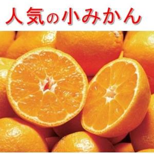 小玉みかん 5kg 愛媛県 西宇和みかん ミカン 愛媛みかん 小みかん 小粒