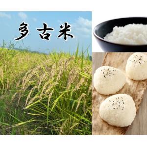 新米予約 加藤さんの多古米 10kg 白米 令和６年産 千葉県産 送料無料 幻の米 多古米 たこまい タコマイ｜satono-okurimono