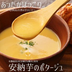 ポタージュ 安納芋 スープ 2袋 セット お試し メール便 レトルト 業務用 ギフト スープの素 さつまいも あんのう芋 安納いも 国産 食品 常温保存｜satonoimoya