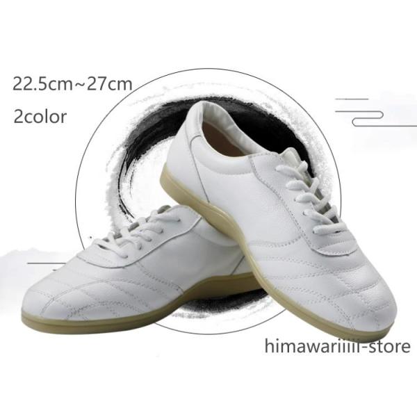 ウーシュー 太極拳シューズ 武術 靴 ソフトレザー スニーカー 牛筋ソール カンフー テコンドー 気...