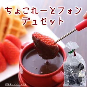 チョコレートフォンデュセット｜satou