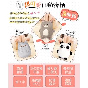 湯たんぽ 充電式 湯タンポ エコゆたんぽ 蓄熱...の詳細画像1