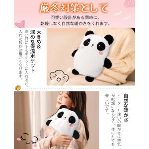 湯たんぽ 充電式 湯タンポ エコゆたんぽ 蓄熱...の詳細画像4
