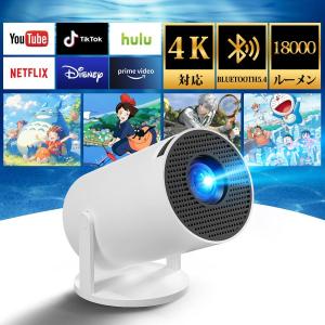 オリオン ORION DSX32-31S 32V型 ハイビジョン 液晶テレビ DSX