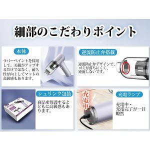 ＼2種吸引モ一ド/ 車 掃除機 35000PA...の詳細画像4