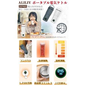 電気ケトル ポータブル 海外対応 携帯 湯沸か...の詳細画像2
