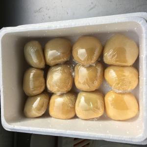 栃もち大福　こがねもち100％　アンコたっぷり　とち餅　12個