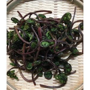 天然赤こごみ　200g