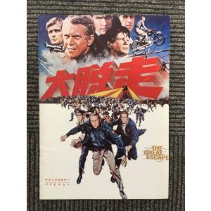 B'z LIVE-GYM 2002 GREEN 〜GO FIGHT WIN〜 ツアーパンフレット