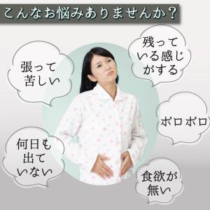 乳酸菌 サプリ デキストリン 食物繊維 難消化...の詳細画像2